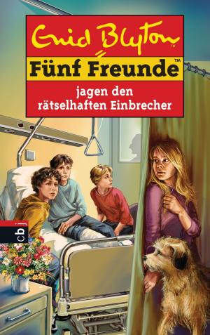 Cover of the book Fünf Freunde jagen den rätselhaften Einbrecher by Sabine Ludwig