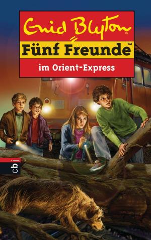 Cover of the book Fünf Freunde im Orient-Express by Usch Luhn