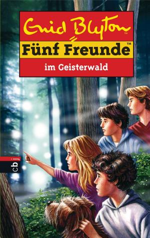 Cover of the book Fünf Freunde im Geisterwald by Ann Brashares