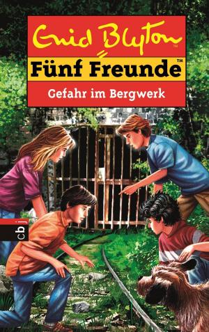 Book cover of Fünf Freunde - Gefahr im Bergwerk