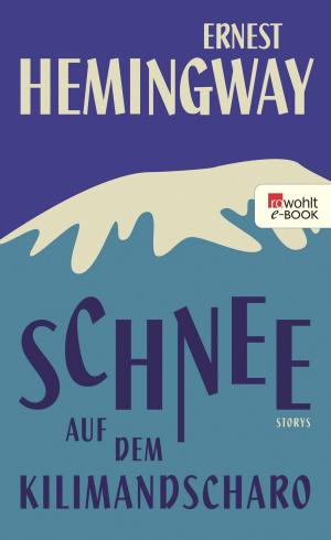 Cover of the book Schnee auf dem Kilimandscharo by Reinhard Finster, Gerd van den Heuvel