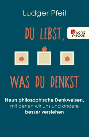 Cover of the book Du lebst, was du denkst by Hubert Mania