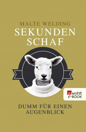 Cover of the book Sekundenschaf by Finegan Kruckemeyer