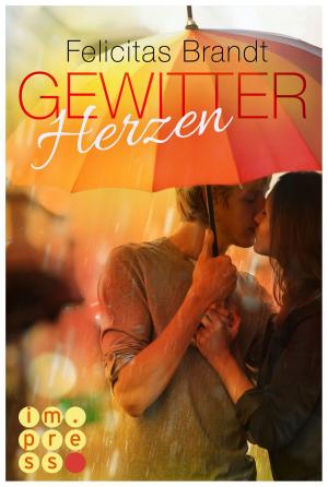 Cover of the book Gewitterherzen by Dana Müller-Braun, Vivien Summer