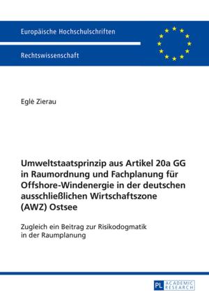 Cover of the book Umweltstaatsprinzip aus Artikel 20a GG in Raumordnung und Fachplanung fuer Offshore-Windenergie in der deutschen ausschließlichen Wirtschaftszone (AWZ) Ostsee by 