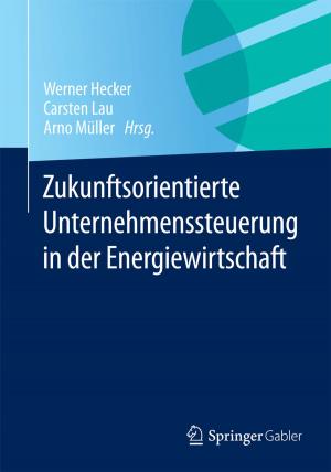Cover of the book Zukunftsorientierte Unternehmenssteuerung in der Energiewirtschaft by Sebastian Fischer, Florian Fischer, Malte Kleinschmidt, Dirk Lange