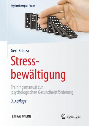 Cover of the book Stressbewältigung by Dov Bahat