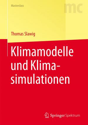 Book cover of Klimamodelle und Klimasimulationen
