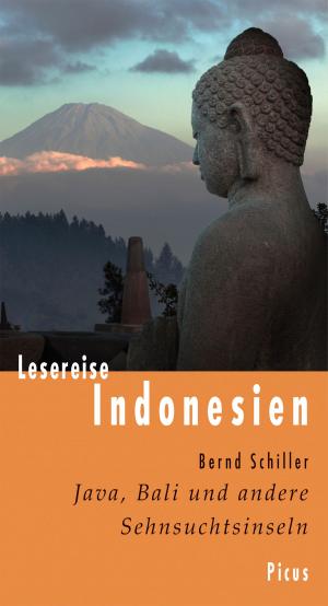 Cover of the book Lesereise Indonesien by Hans-Rudolf Bork, Verena Winiwarter