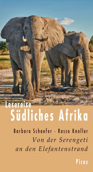 Book cover of Lesereise Südliches Afrika