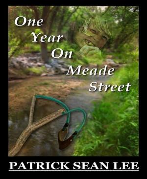 bigCover of the book One Year On Meade Street by 