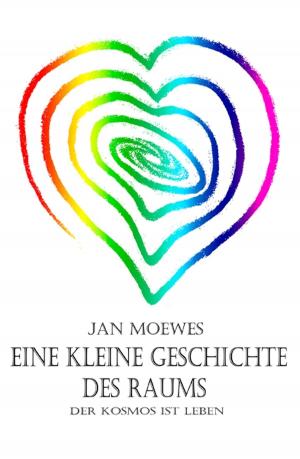 Book cover of Eine kleine Geschichte des Raums
