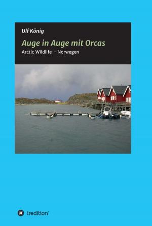 Cover of the book Auge in Auge mit Orcas by Alfred Beschle