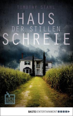 Book cover of Haus der stillen Schreie