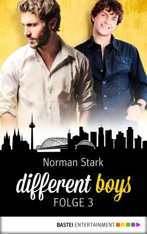 Cover of the book different boys - Folge 3 by C. W. Bach