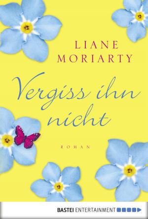 Cover of the book Vergiss ihn nicht by Wolfgang Hohlbein