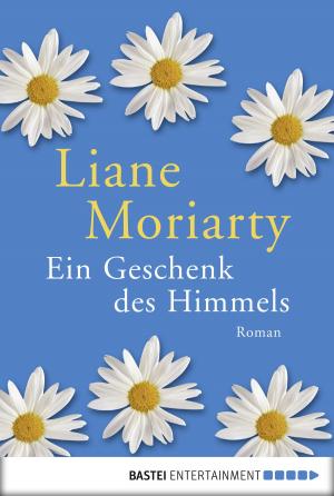 Cover of the book Ein Geschenk des Himmels by Nina Gregor