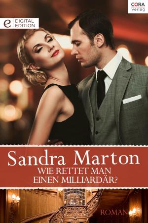 Cover of the book Wie rettet man einen Milliardär? by Lucy Lelens