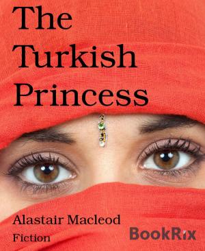 Book cover of The Turkish Princess