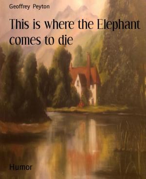 Cover of the book This is where the Elephant comes to die by Sophie Wörishöffer