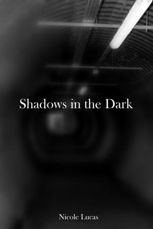 Cover of the book Shadows in the Dark by Nicolas Machiavel