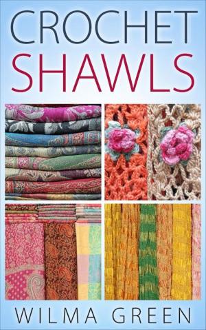 Cover of the book Crochet Shawls by Mattis Lundqvist