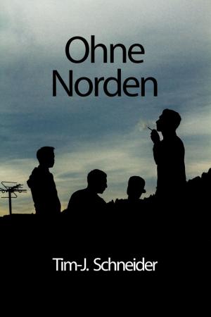 Cover of the book Ohne Norden by Mark Twain