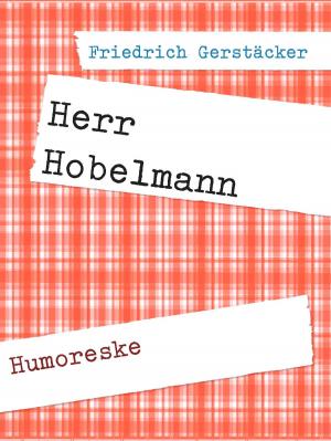Cover of the book Herr Hobelmann by André Lafon