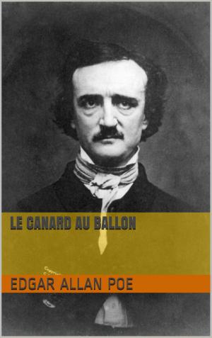 Cover of the book Le Canard au ballon by Petra Gutkin