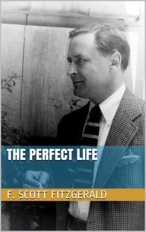 Cover of the book The Perfect Life by Petra Gutkin