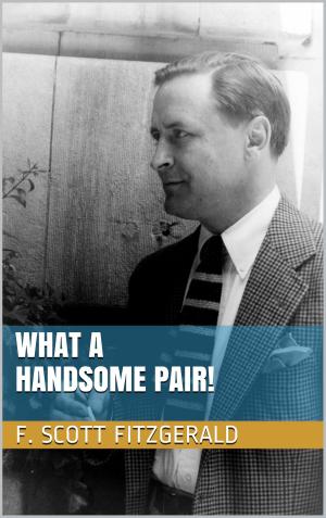 Cover of the book What a Handsome Pair! by Joan Frank, Ted Kehoe, Alexandra Marshall, Bill Roorbach, Douglas Trevor, Andria Nacina Cole, Federico Falco, Sarah Viren, Robert Boswell, Patricia Buddenhagen, Ladette Randolph