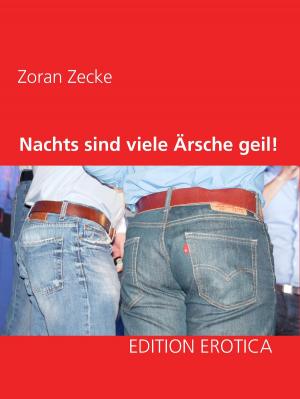 Cover of the book Nachts sind viele Ärsche geil! by Gottfried Claußen