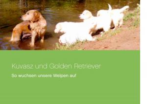Cover of the book Kuvasz und Golden Retriever by Rüdiger Schneider