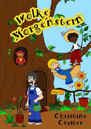 Cover of the book Wolke Morgenstern by Julia Kathrin Knoll