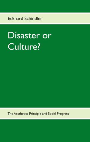 Cover of the book Disaster or Culture? by Reinhart Brandau