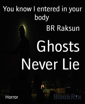 Cover of the book Ghosts Never Lie by Norman E. Morrison