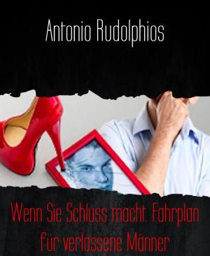 Book cover of Wenn Sie Schluss macht. Fahrplan für verlassene Männer