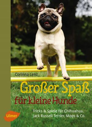 Cover of the book Großer Spaß für kleine Hunde by Viviane Theby
