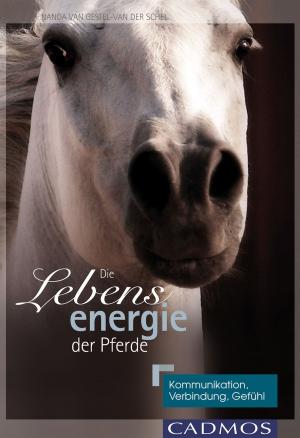 Cover of the book Die Lebensenergie der Pferde by Martina Braun