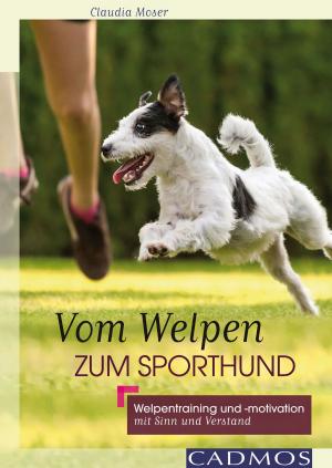 Cover of the book Vom Welpen zum Sporthund by Anne-Katrin Hagen