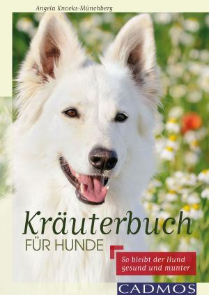 Cover of the book Kräuterbuch für Hunde by Stefan Baumgartner