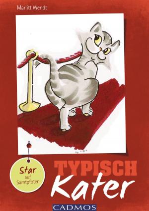 Book cover of Typisch Kater