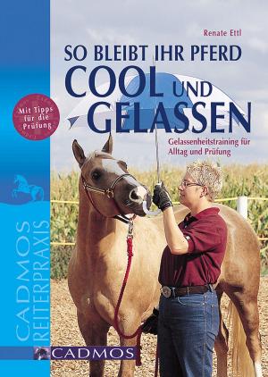 Book cover of So bleibt Ihr Pferd cool und gelassen