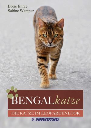 Cover of the book Bengalkatze by Daniela Bolze, Christiane Slawik