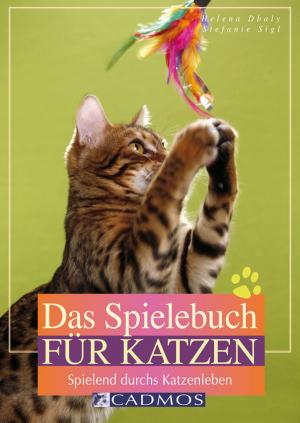Cover of the book Das Spielebuch für Katzen by Lena Landwerth