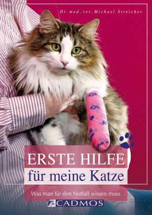 Cover of the book Erste Hilfe für meine Katze by Marlitt Wendt