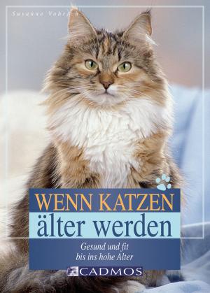 Cover of the book Wenn Katzen älter werden by Maria Hense, Christina Sondermann
