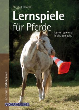 Book cover of Lernspiele für Pferde