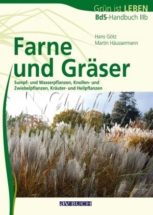 Cover of the book Farne und Gräser by Robert Höck