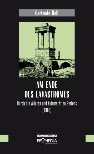 Cover of Am Ende des Lavastromes